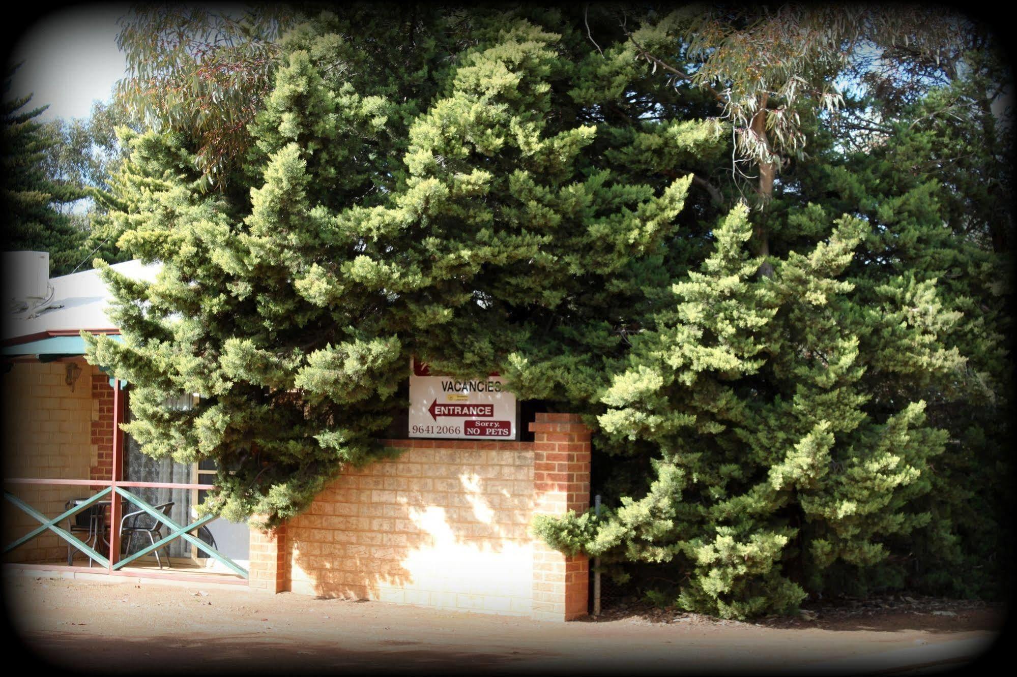 York'S Boutique Motel Exterior photo